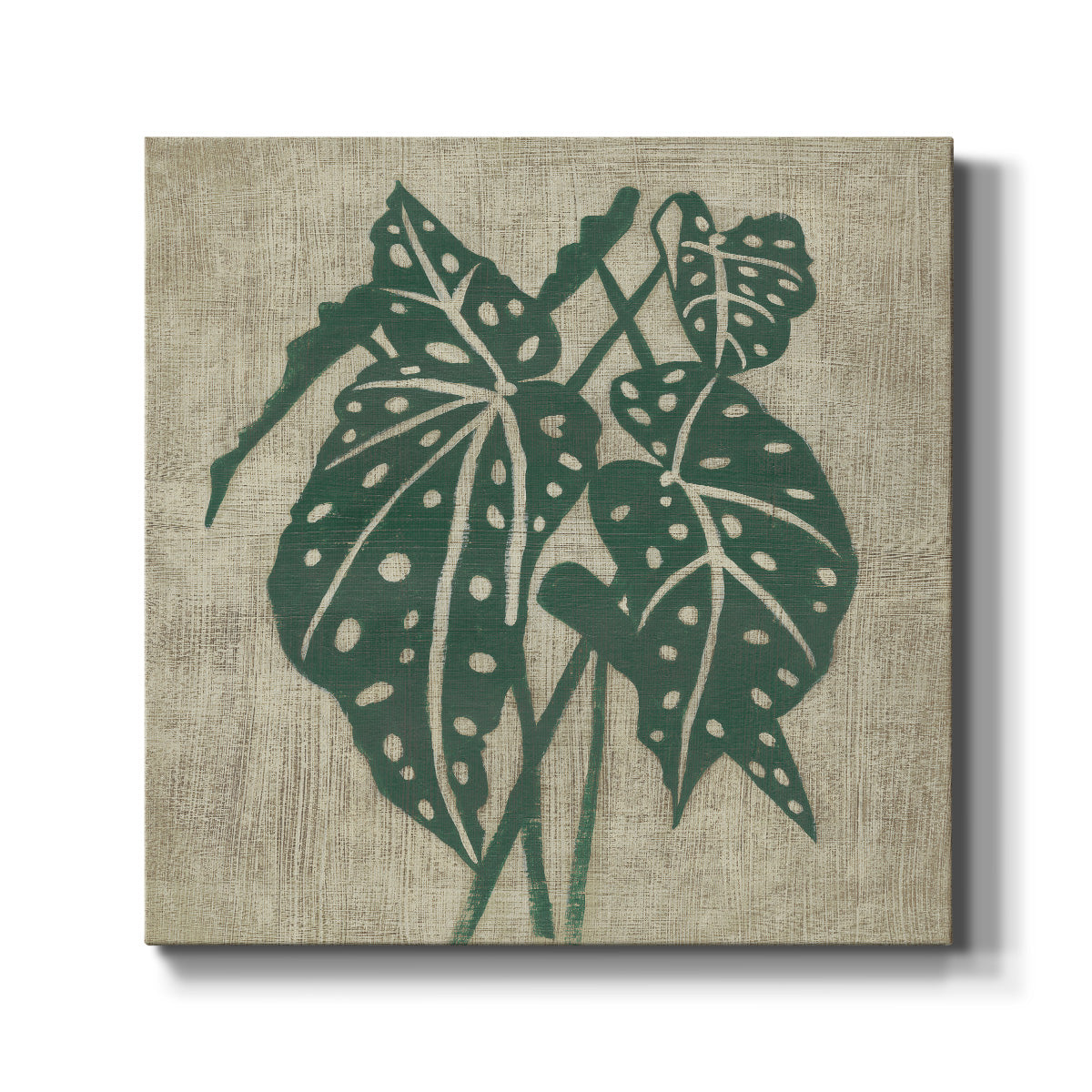 Vintage Greenery II-Premium Gallery Wrapped Canvas - Ready to Hang