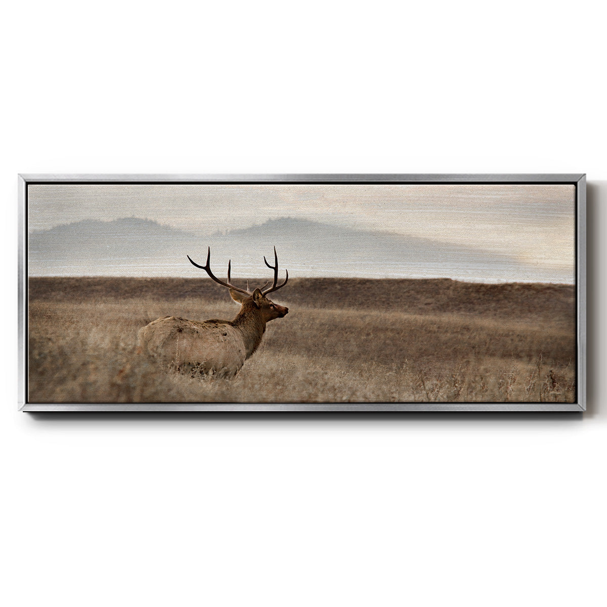 Now You See Me - Floater Framed Canvas Print