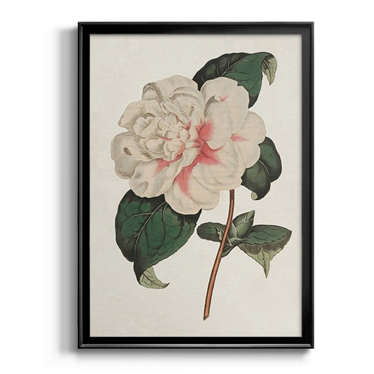 Pink Floral Mix VIII - Modern Framed Canvas Print