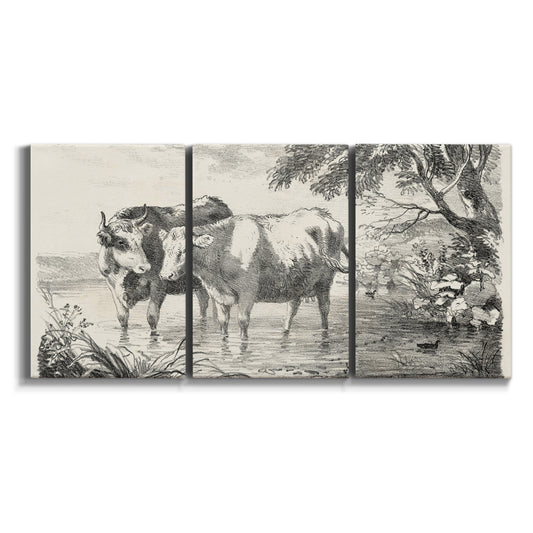 Three-panel canvas wall art featuring rural animal sketch illustration on white background.