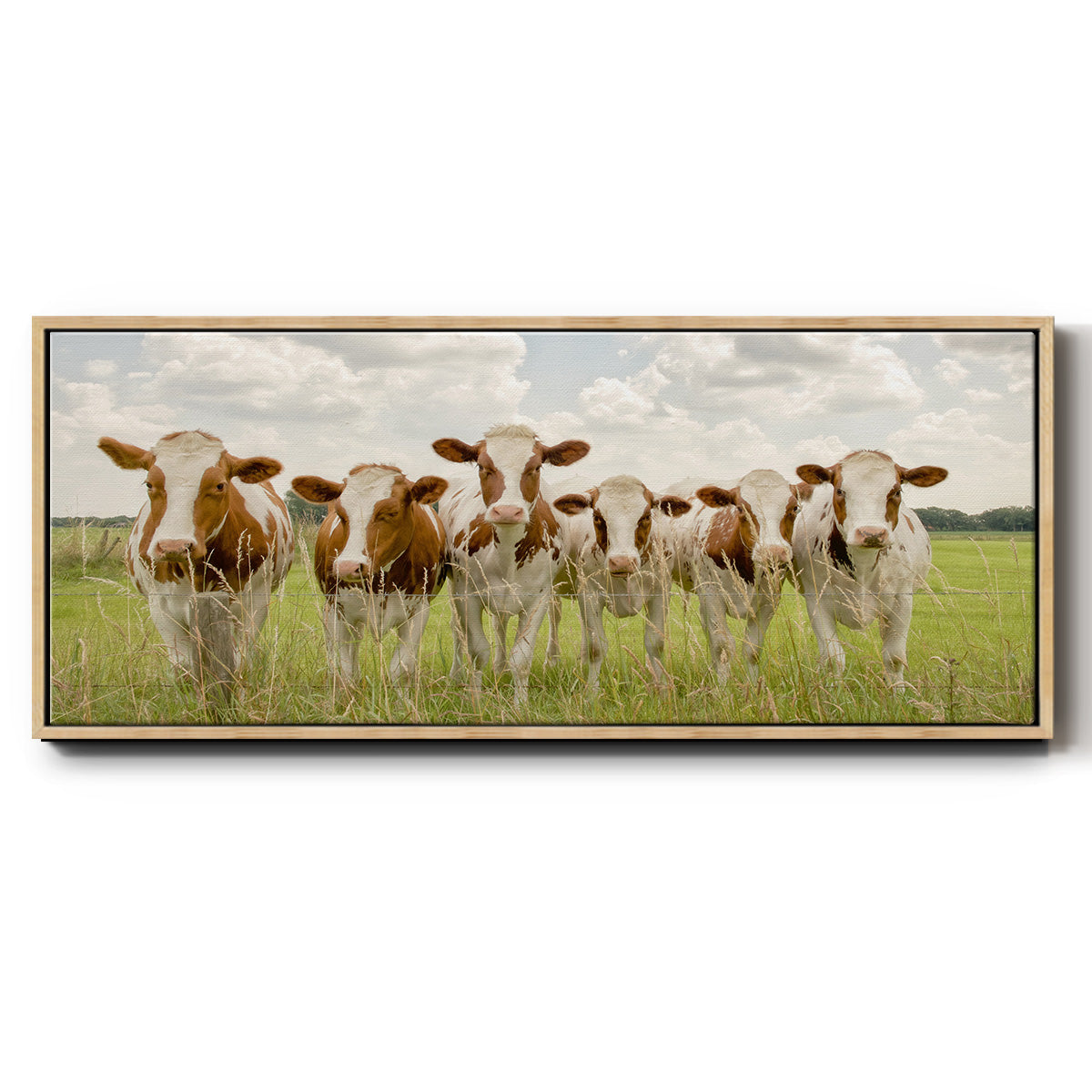 The F Side - Floater Framed Canvas Print