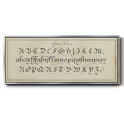 Manuscript Sampler III - Floater Framed Canvas Print