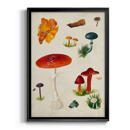 Mushroom Species VIII - Modern Framed Canvas Print