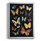 Collected Flutter III - Modern Framed Canvas Print