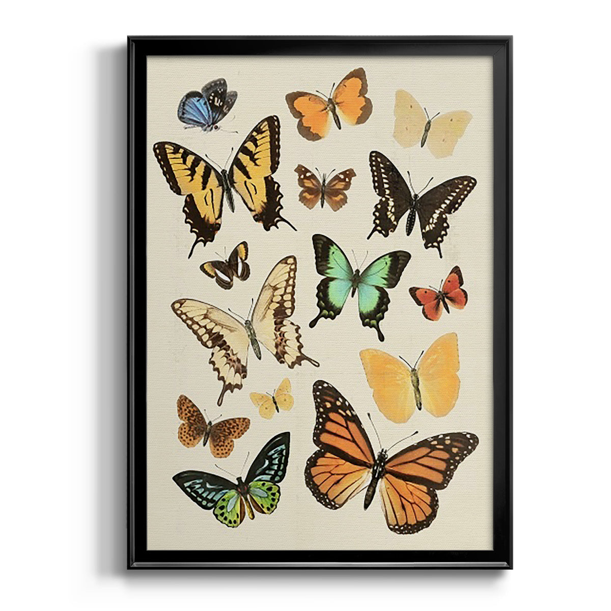 Collected Flutter I - Modern Framed Canvas Print