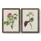 Pretty Pink Botanicals V - Barnwood Framed Canvas Set