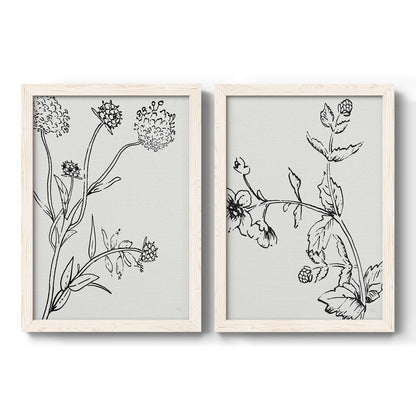 Botanical Study I   - Premium Framed Canvas 2 Piece Set - Ready to Hang