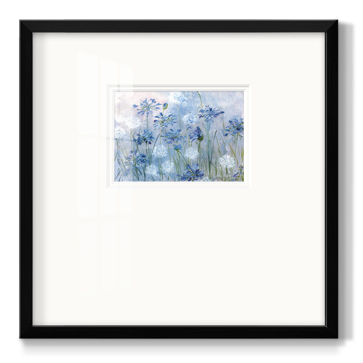 Dandelion and Agapanthus Premium Framed Print Double Matboard