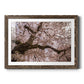Spring's Arrival - Barnwood Framed Art Print