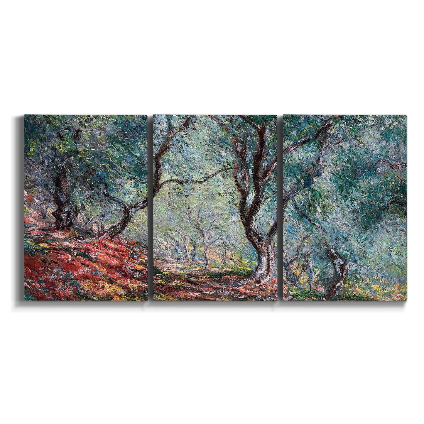 Three-panel canvas wall art featuring olive trees in sunlit garden on white background.