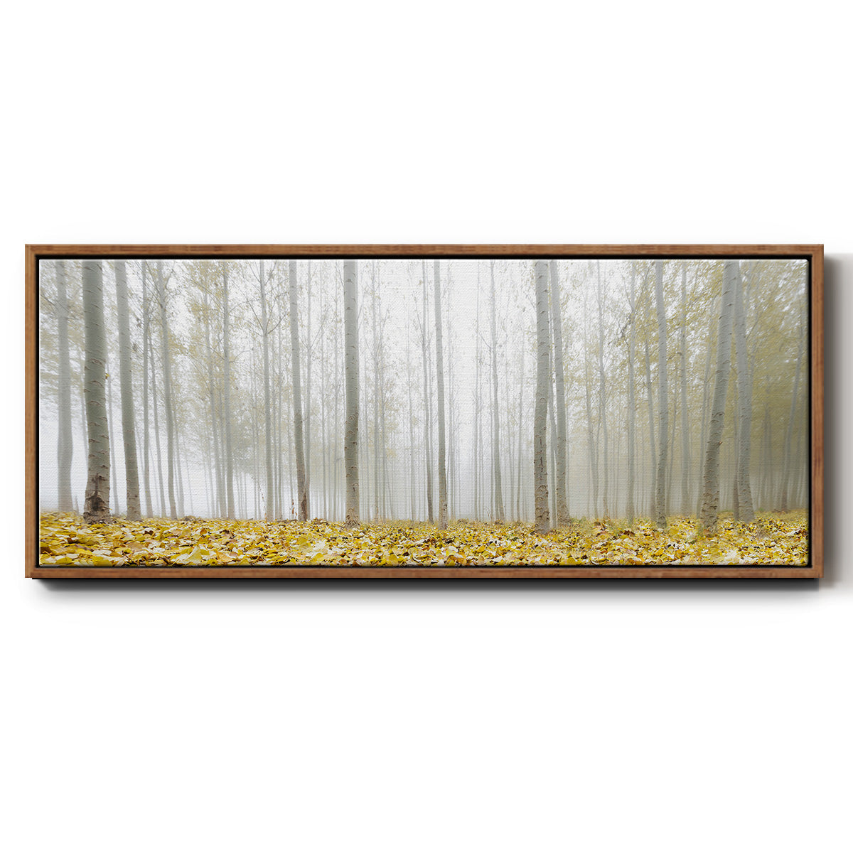 Poplar Grove - Floater Framed Canvas Print