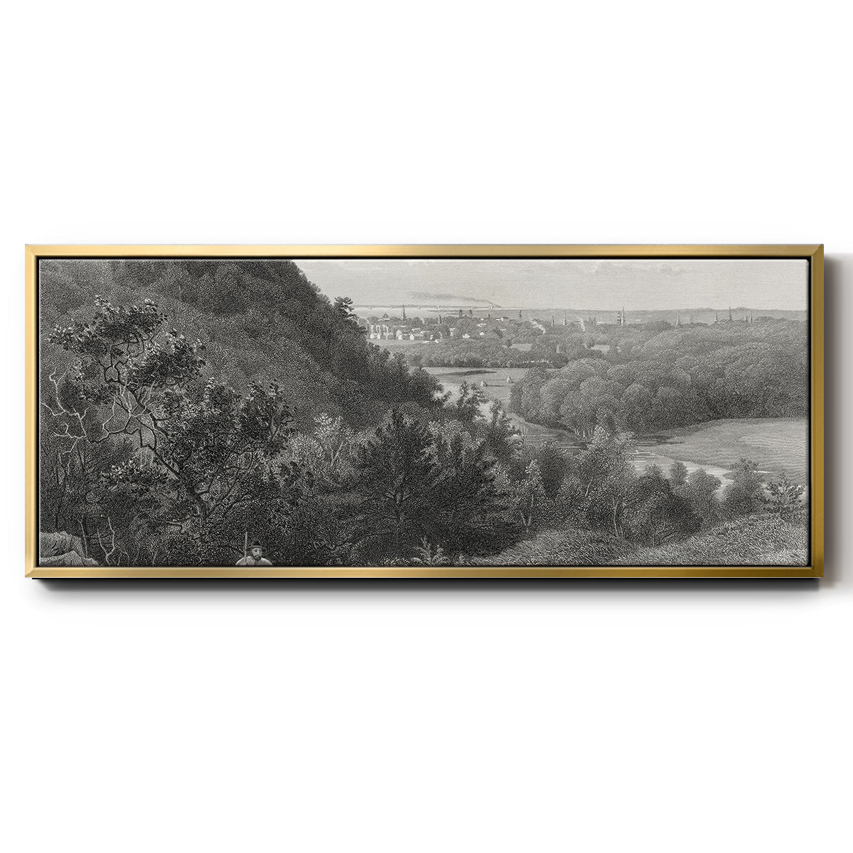 East Rock, New Haven - Floater Framed Canvas Print