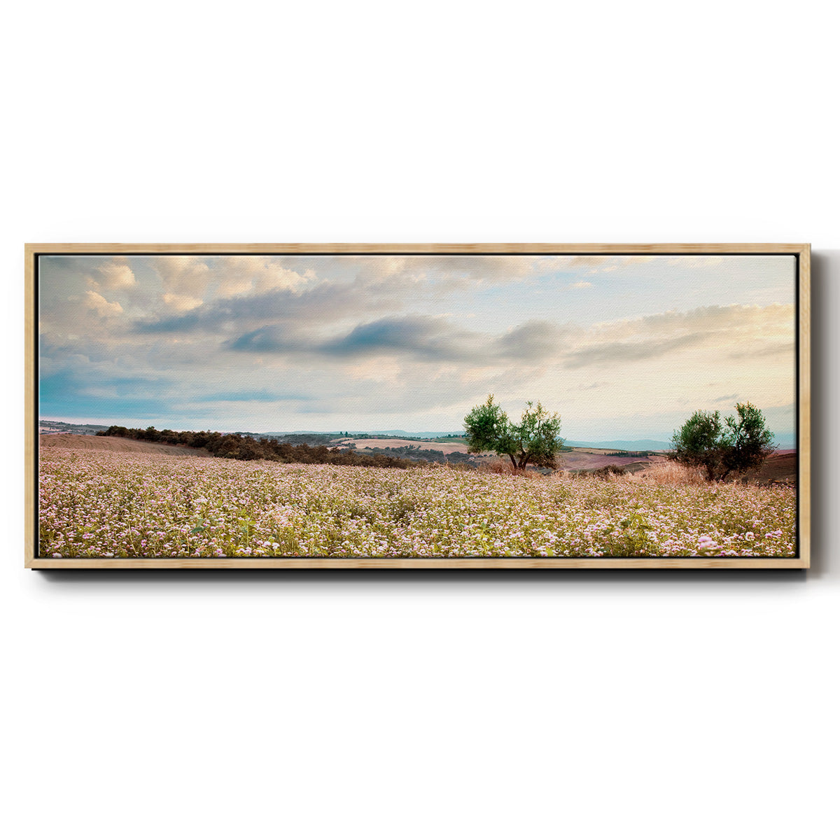 Tuscan Wildflowers - Floater Framed Canvas Print