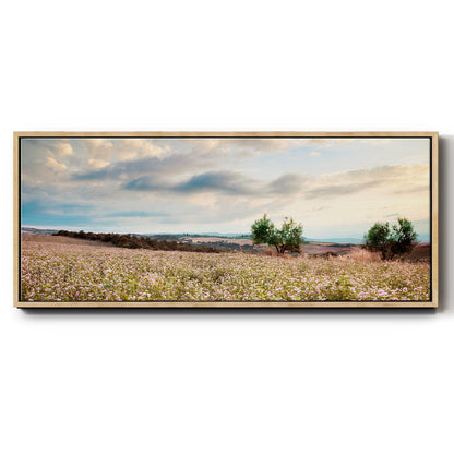 Tuscan Wildflowers - Floater Framed Canvas Print