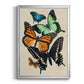 Collaged Butterflies I - Modern Framed Canvas Print