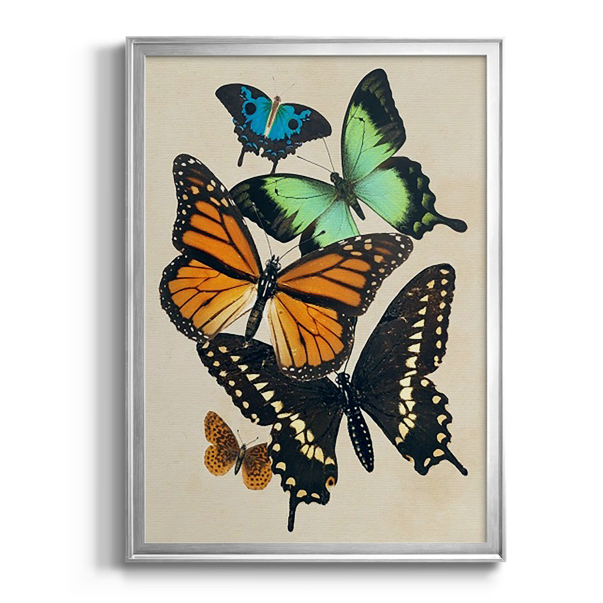 Collaged Butterflies I - Modern Framed Canvas Print