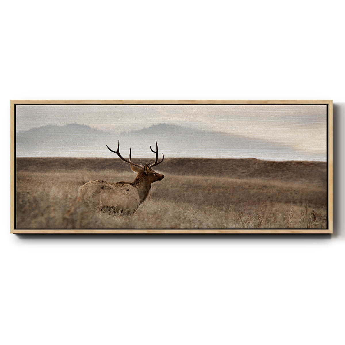 Now You See Me - Floater Framed Canvas Print