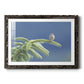 Evergreen Perch - Barnwood Framed Art Print