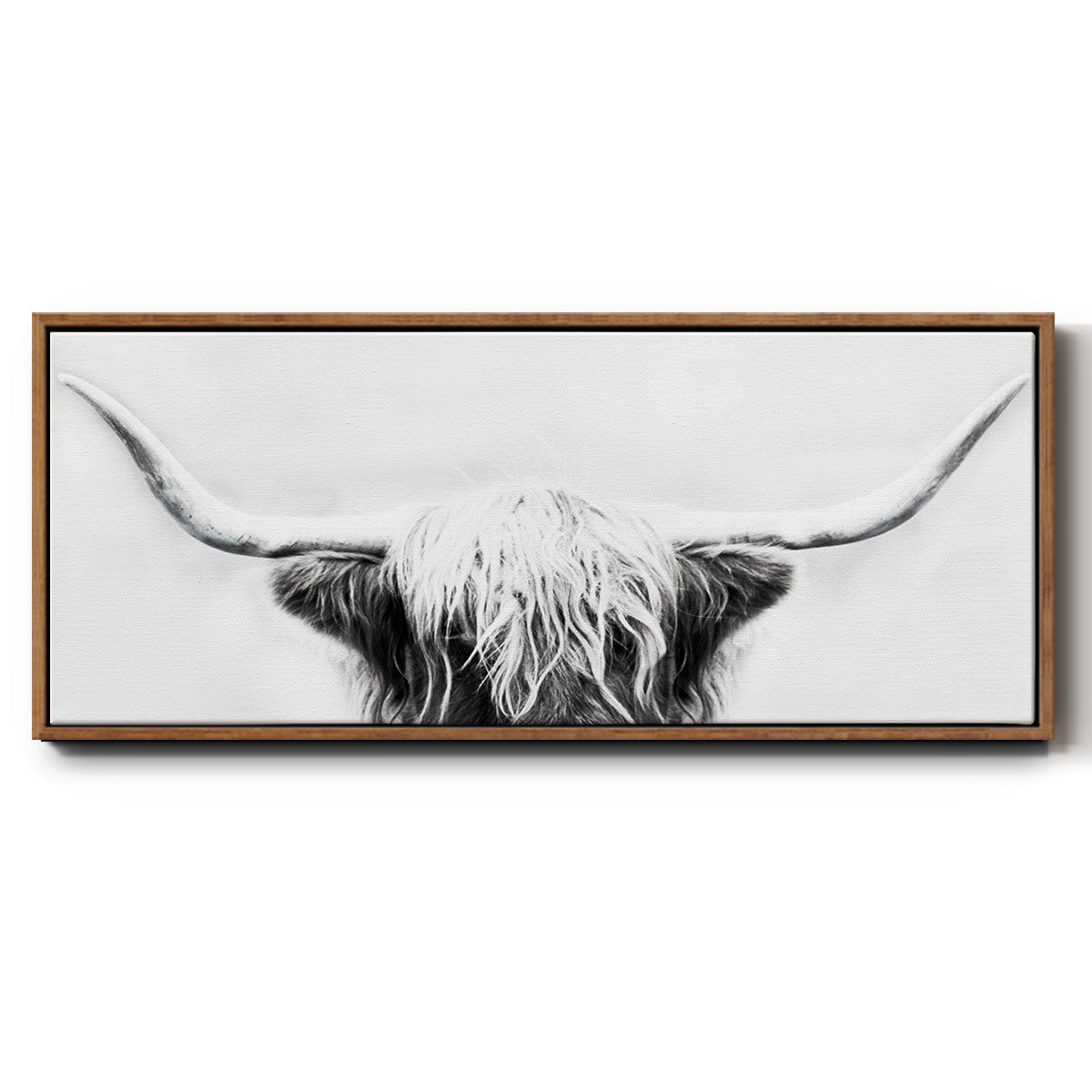Longhorn - Floater Framed Canvas Print