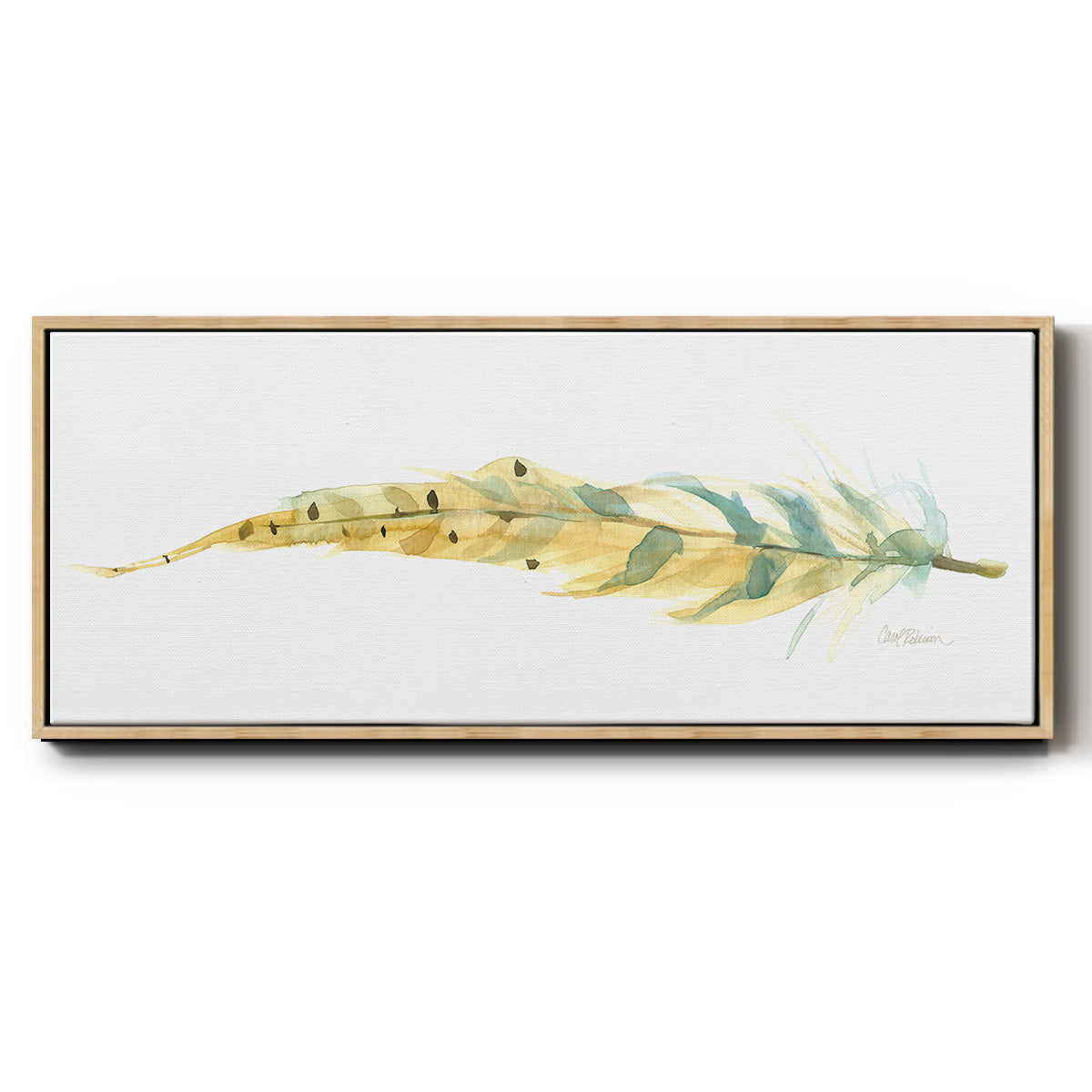 Tail Feather III - Floater Framed Canvas Print