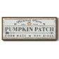 Pumpkin Patch II - Floater Framed Canvas Print