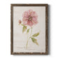 Soft Peony - Barnwood Framed Canvas Print