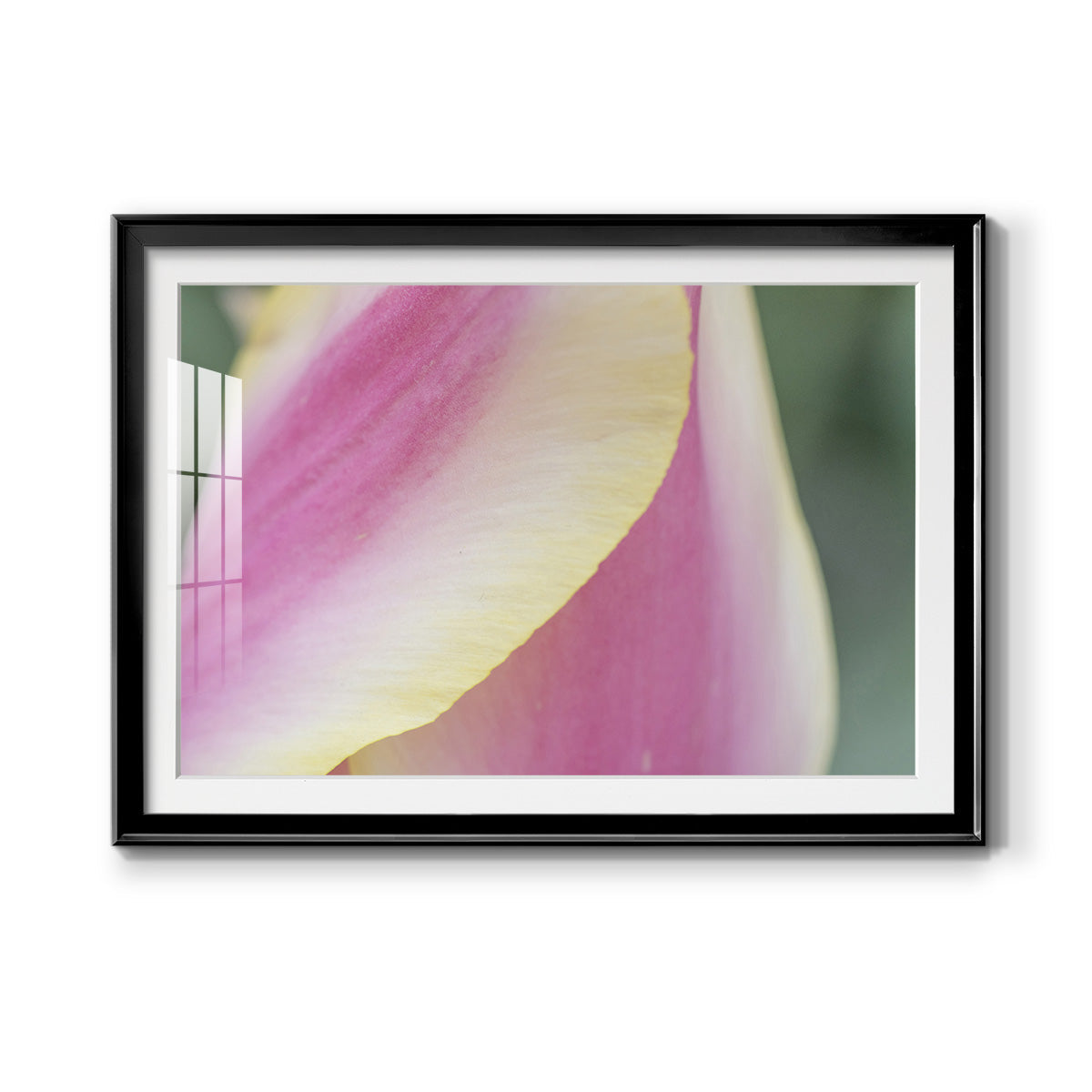 Delicate Premium Framed Print - Ready to Hang