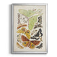 Antique Moths I - Modern Framed Canvas Print