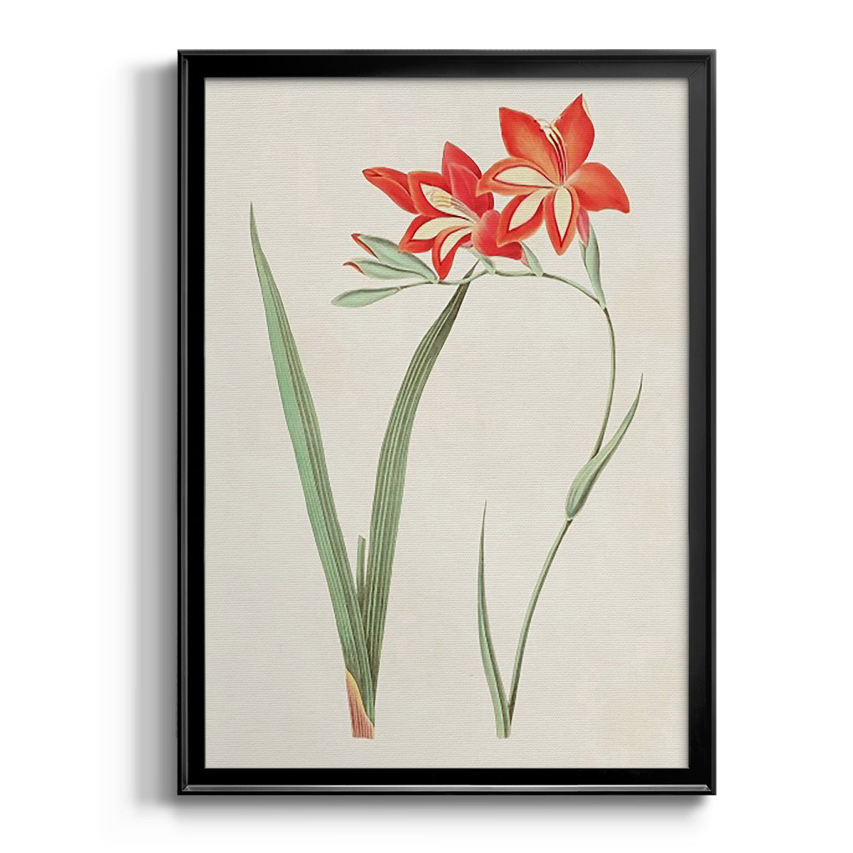 Flowers of the Seasons IV - Modern Framed Canvas Print