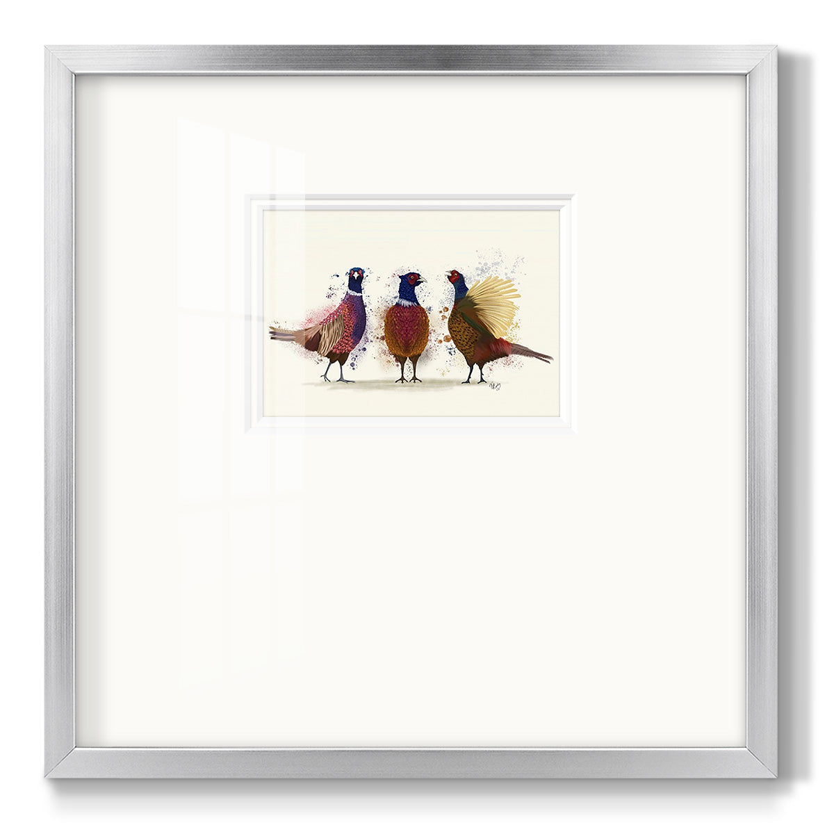 Pheasant Trio Premium Framed Print Double Matboard