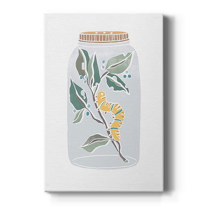 Nature Jar I - Canvas Art Print