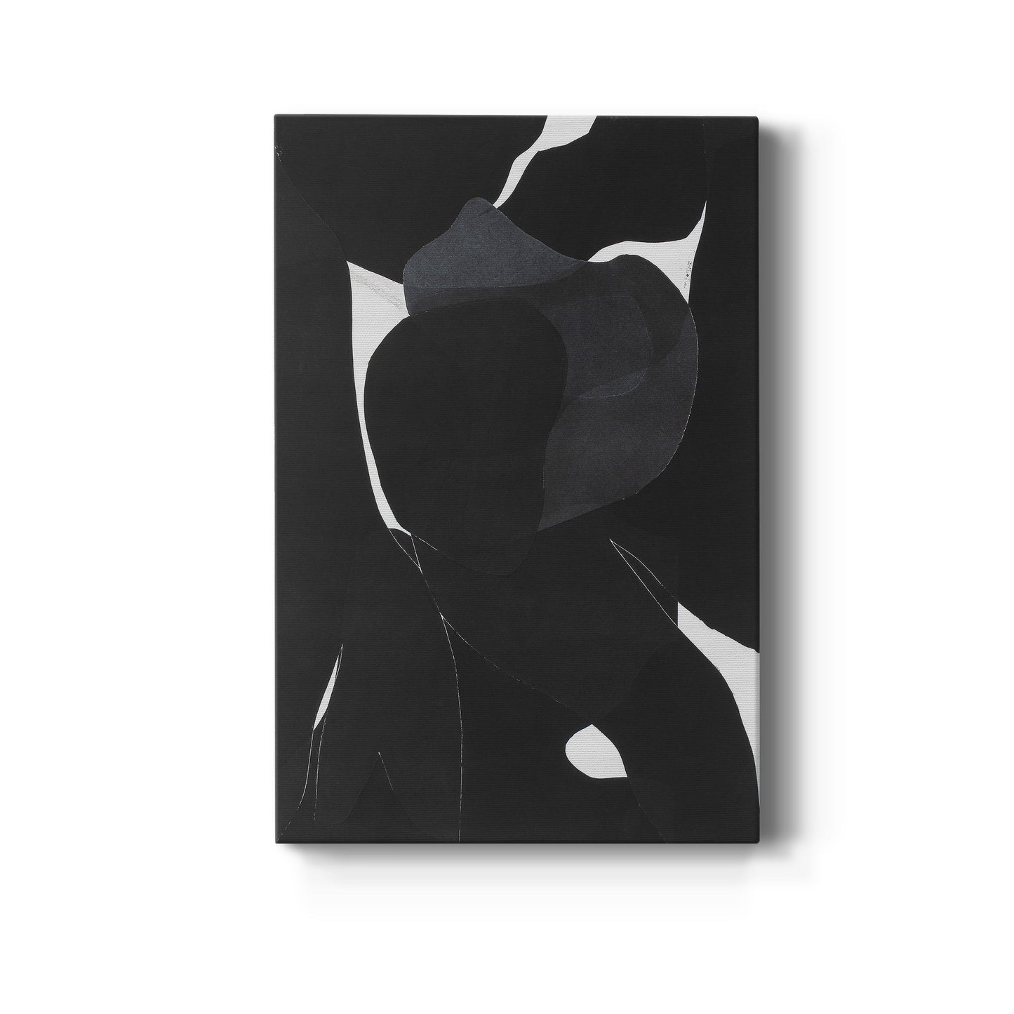 Night Bloom I - Canvas Art Print