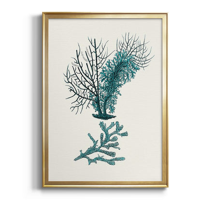 Antique Coastal Coral VI - Modern Framed Canvas Print