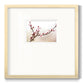 Cherry Blossom Study I - Double Matboard Framed Print
