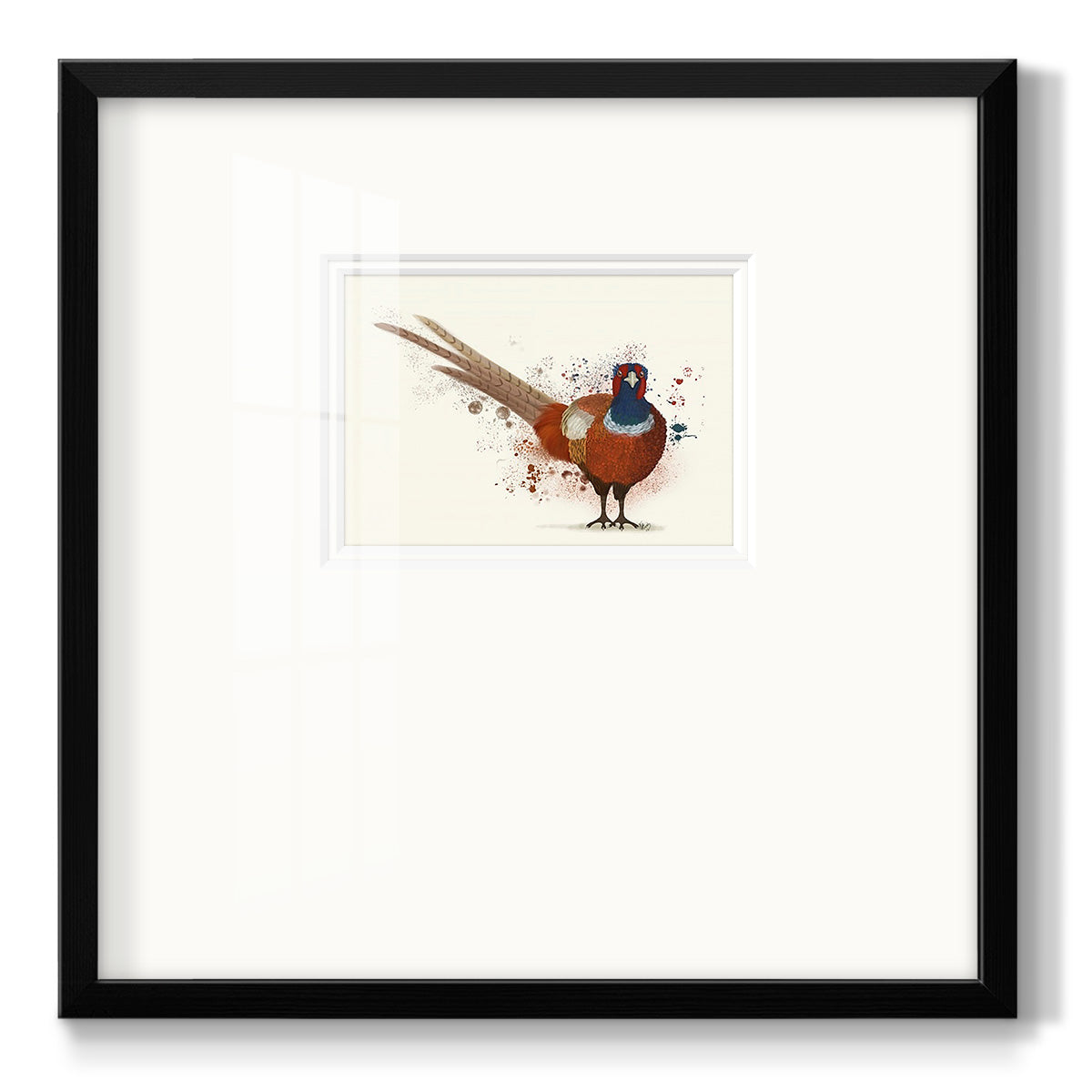 Pheasant Splash 7 Premium Framed Print Double Matboard