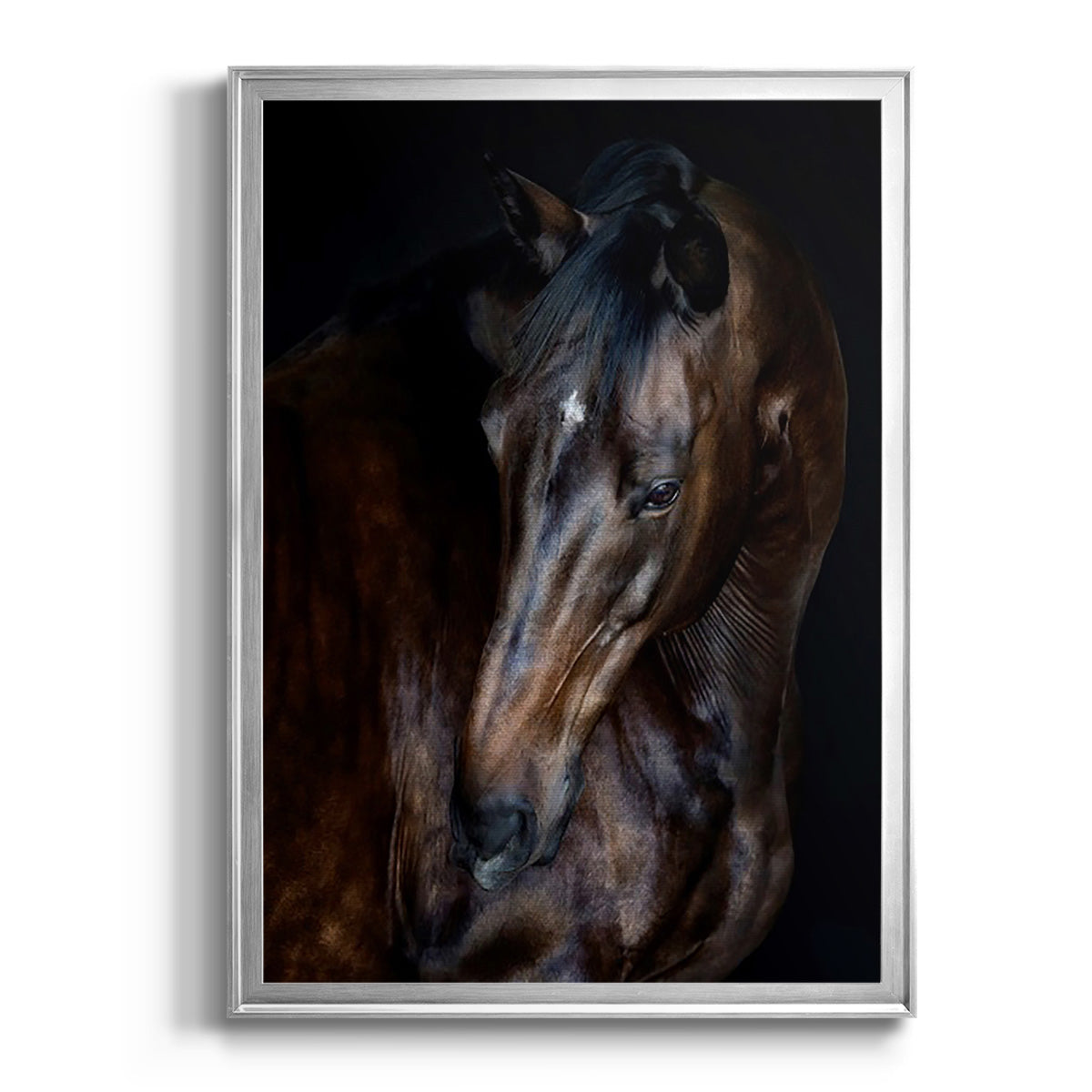 Sunlit Horses I - Modern Framed Canvas Print