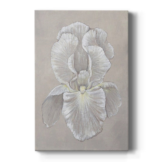 White Iris II - Canvas Art Print