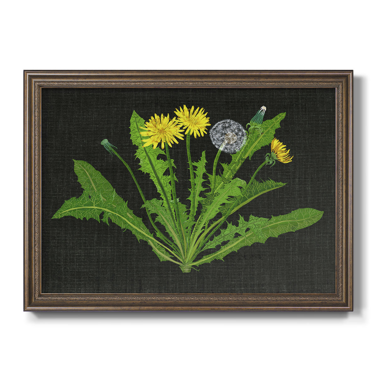 Wild Dandelion II Premium Framed Canvas- Ready to Hang