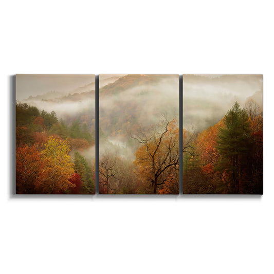 Three-panel canvas wall art featuring misty autumn landscape photograph on white background.
