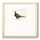 Pheasant Splash 1 - Double Matboard Framed Print