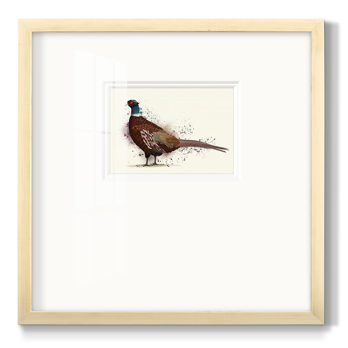 Pheasant Splash 1 - Double Matboard Framed Print
