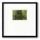 Calm of the Forest - Double Matboard Framed Print