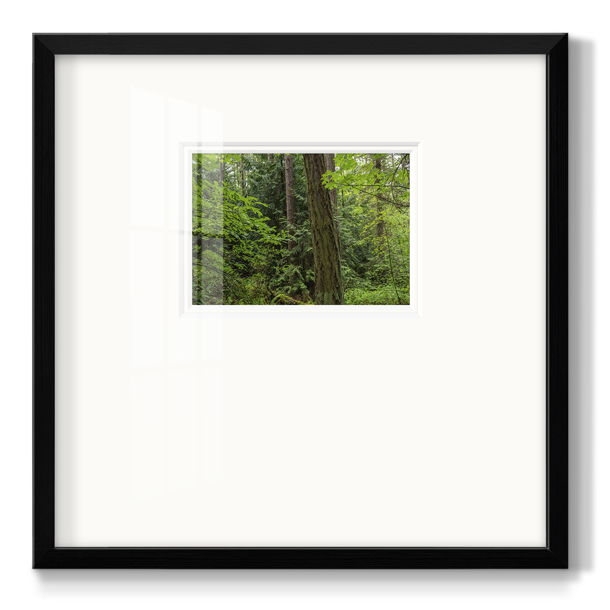 Calm of the Forest - Double Matboard Framed Print