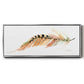 Tail Feather IV - Floater Framed Canvas Print