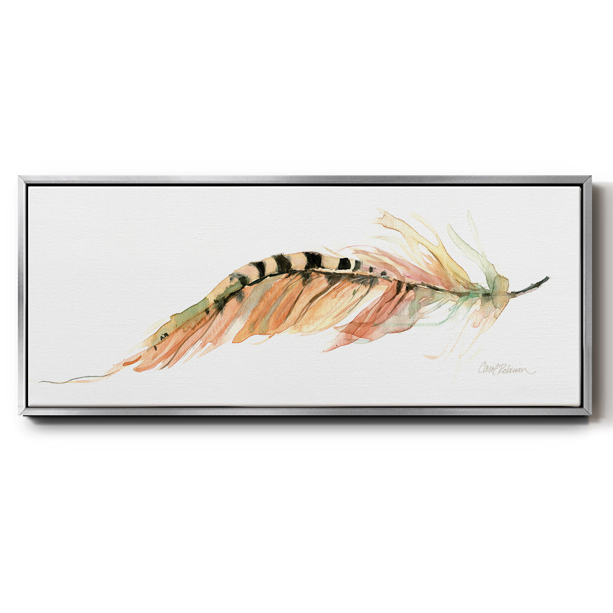 Tail Feather IV - Floater Framed Canvas Print