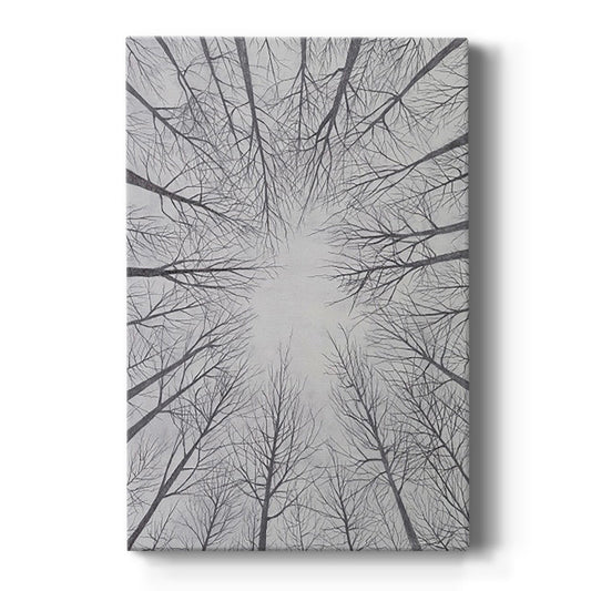 Deciduous Canopy II - Canvas Art Print