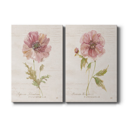 Set of two vertical canvas prints featuring soft pink poppy botanical illustration, displayed side by side.