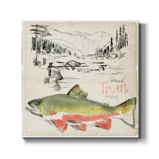 Trout Journal II - Canvas Art Print