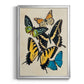 Collaged Butterflies II - Modern Framed Canvas Print