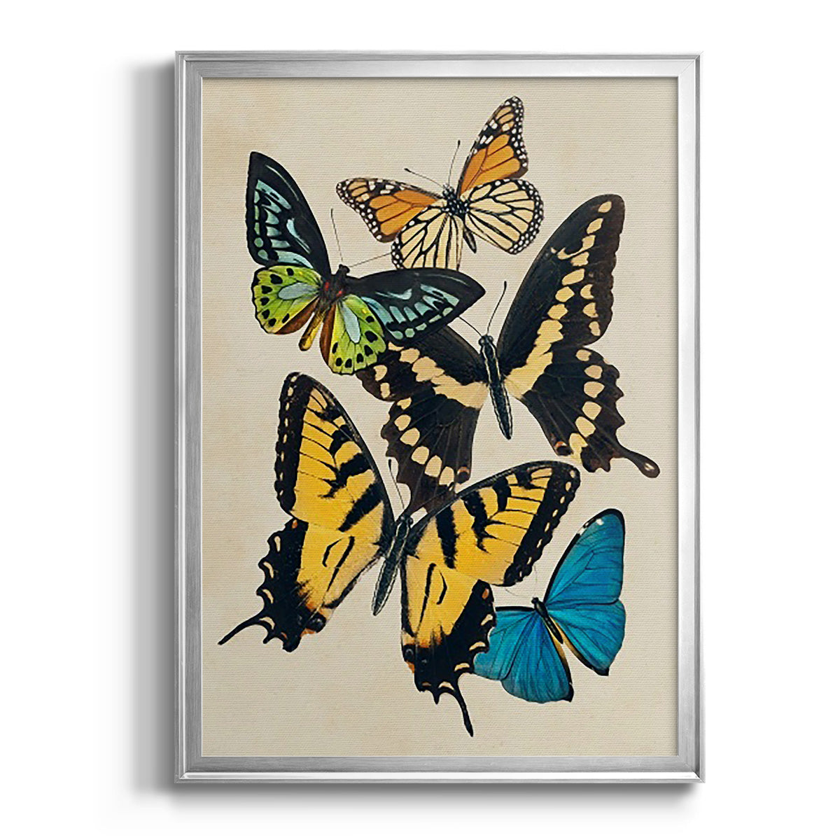 Collaged Butterflies II - Modern Framed Canvas Print